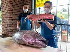 はこだて海鮮市場 マグロ解体ショー