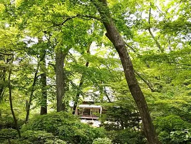 新緑と花を楽しむ、初夏の香雪園散策