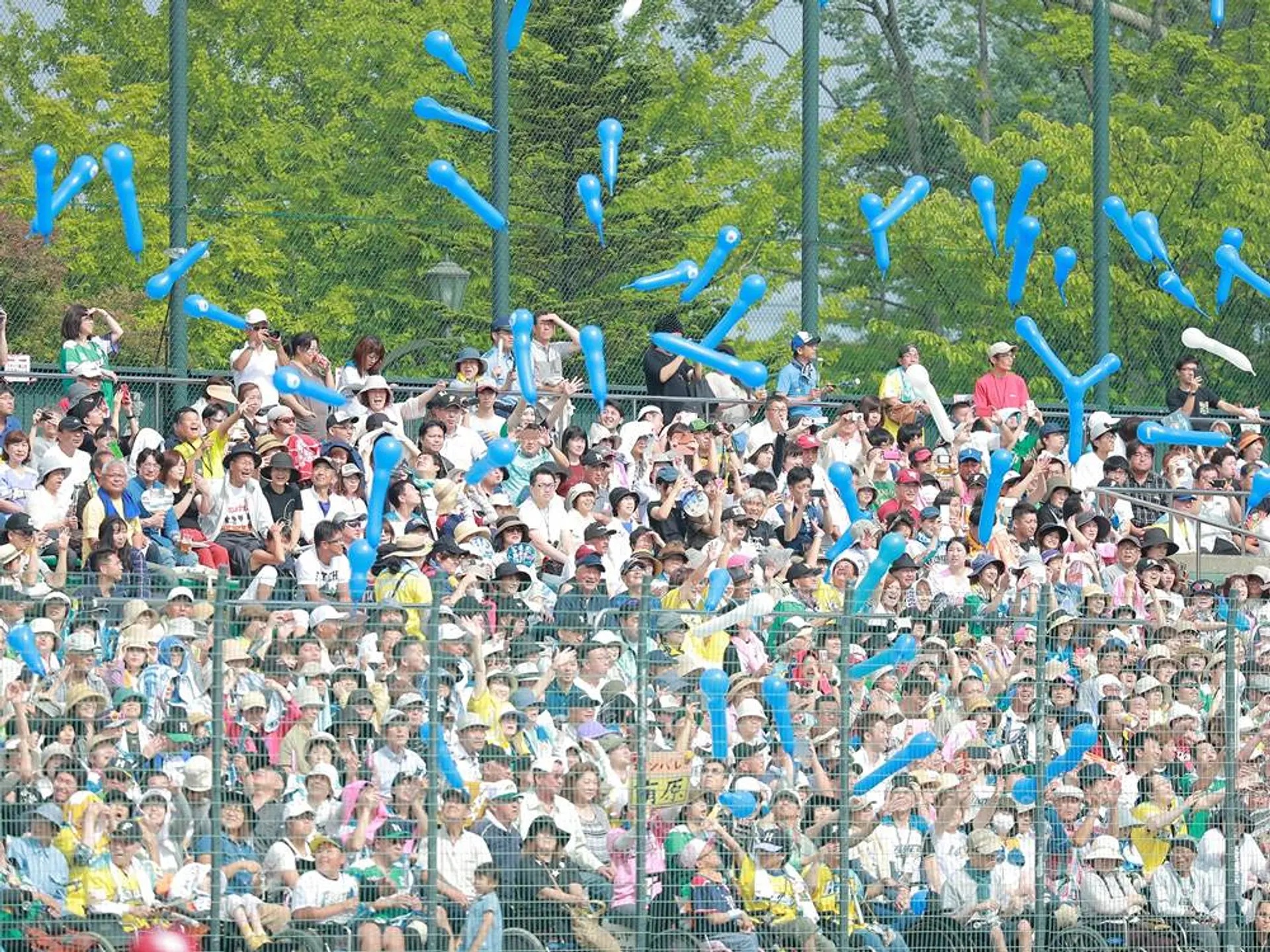 終了】北海道日本ハム ファイターズ公式戦 | イベント一覧 | はこぶら