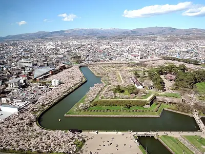 五稜郭公園の桜三昧