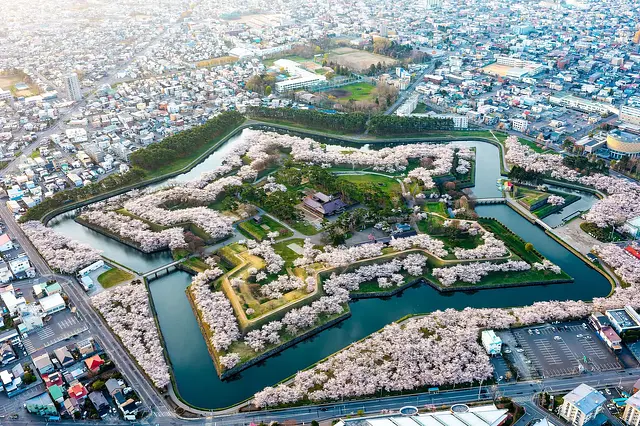 五稜郭公園の桜三昧