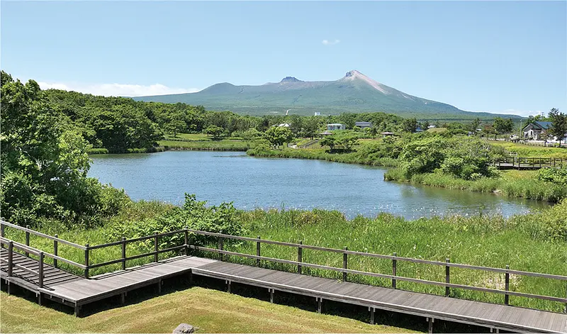 ※函館新聞提供※ひょうたん沼公園.jpg