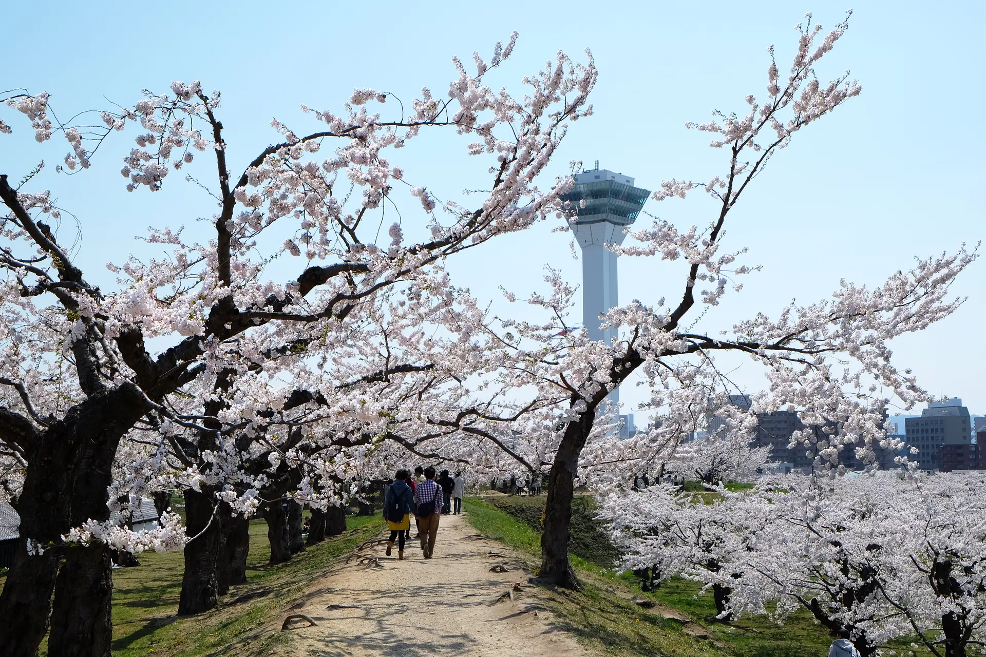 ※函館の画像ライブラリー※Goryokaku_Park-3.jpg