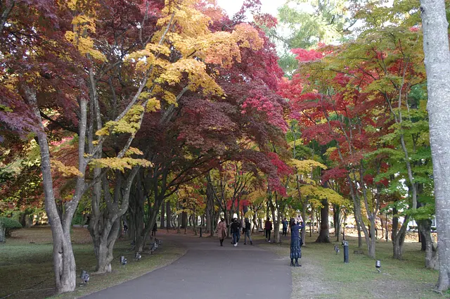 秋深まる香雪園で、紅葉ウォッチング