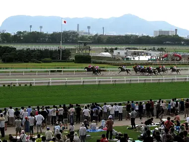 馬も遊びも楽しめる、ファミリーで函館競馬場