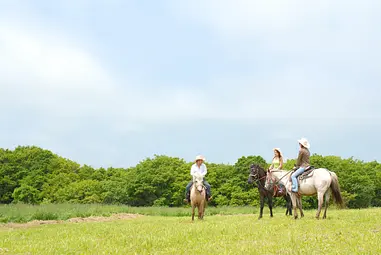 函館市とその近郊のアドベンチャートラベル関連情報