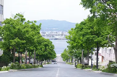 ※函館新聞社撮影※八幡坂0000.JPG