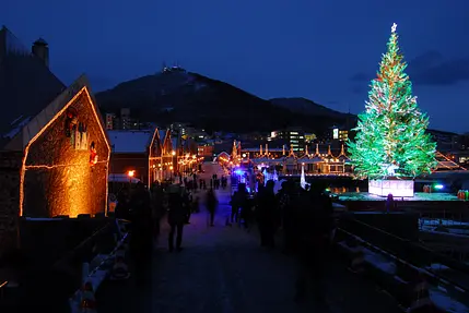 Hakodate_Christmas_Fantasy-2.jpg