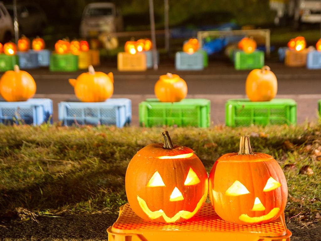 大沼ハロウィンナイト＆ 紅葉サンセットクルーズ | イベント一覧