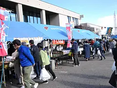 椴法華（とどほっけ） 海鮮まつり